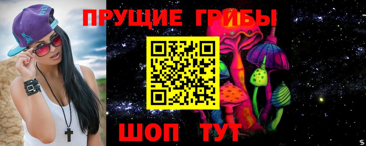 Галлюциногенные грибы прущие грибы  Вход с VPN  Можга 